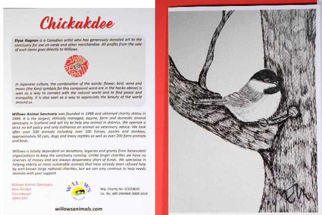 chickadee